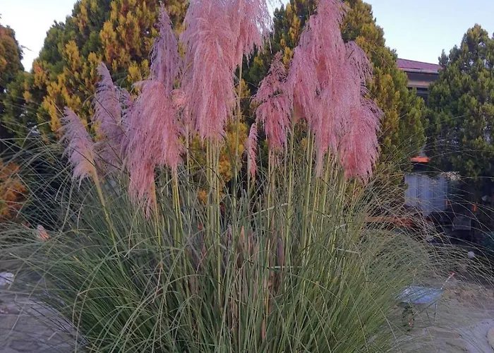 Magnet 别墅 洛泽内茨