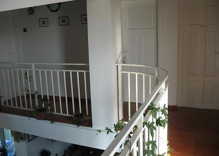 Magnet * 洛泽内茨